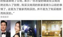 韩媒爆料结婚视频大全下载,明星夫妻甜蜜结婚视频大全下载